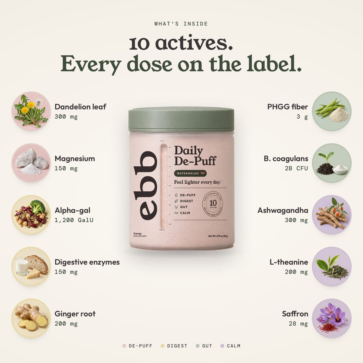 10 actives. Every dose on the label.